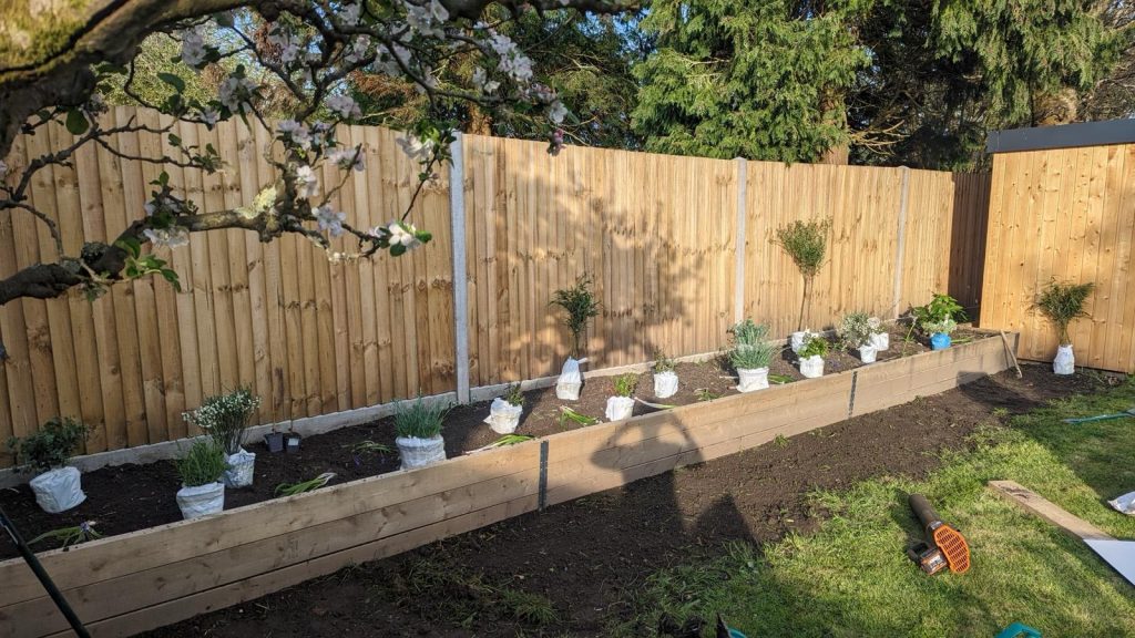 Garden borders, fencing and planting in Hampshire