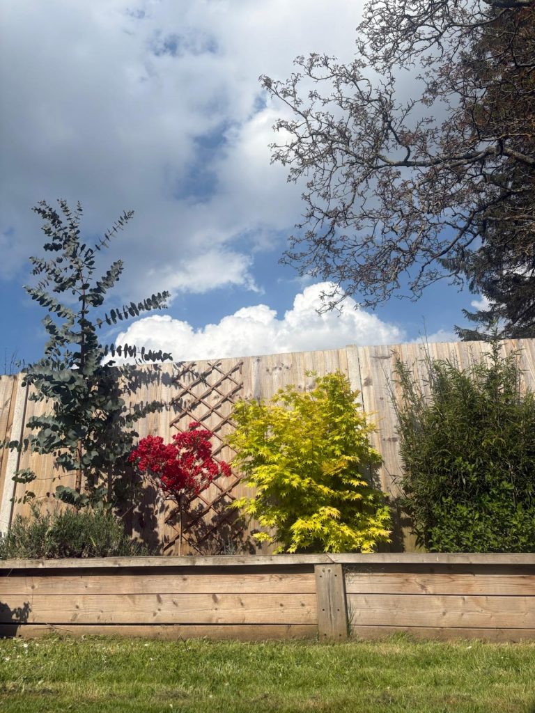 Garden borders and fencing in Southampton Hampshire